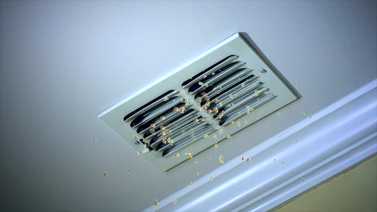 Best Emergency Air Duct Cleaning  in Fernandina Beach, FL
