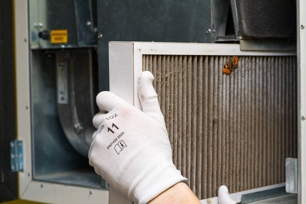 Best Affordable Duct Cleaning Services  in Fernandina Beach, FL
