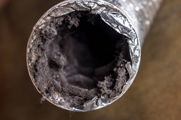 Best Ventilation Cleaning Services  in Fernandina Beach, FL